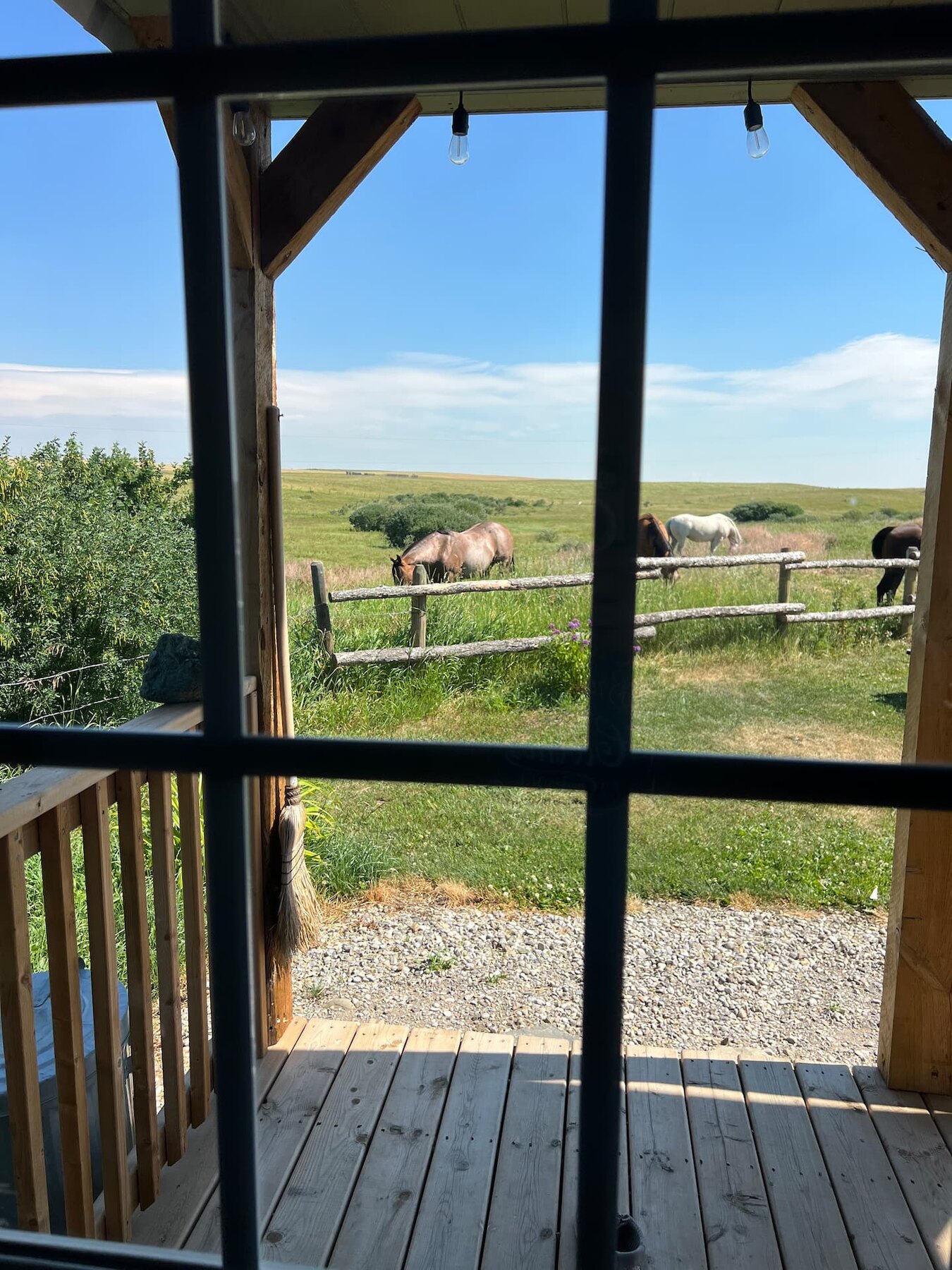 Horse pasture view from the Rancher porch